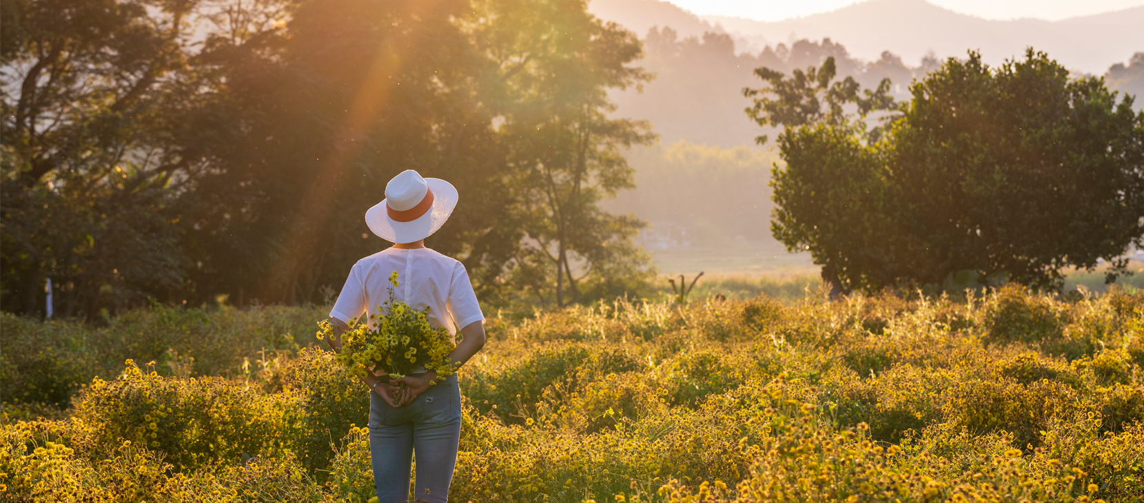 Tourism Authority of Thailand, Malaysia